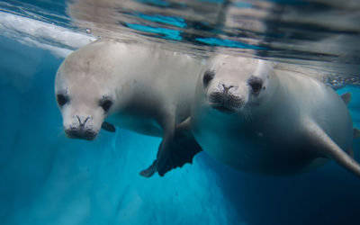 Why retailers are losing customers’ trust below the waterline